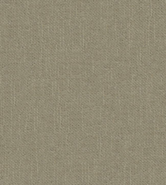 Krayola Fabric by Warwick Papyrus