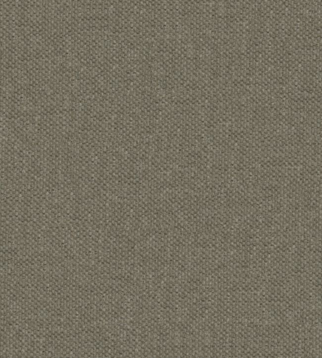 Krayola Fabric by Warwick Putty