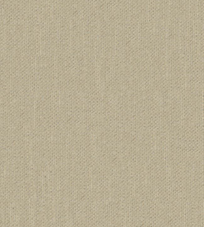 Krayola Fabric by Warwick Vanilla