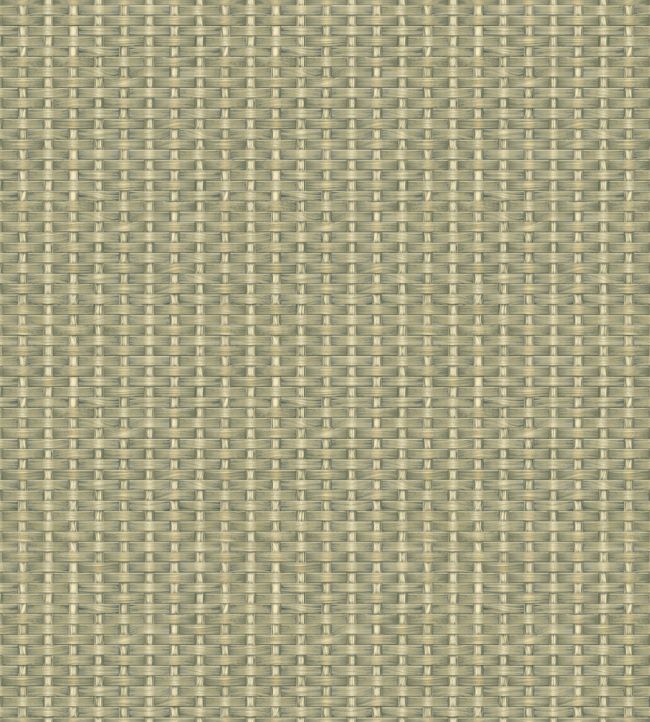 Kuba Raffia Wallpaper by Coordonne Leaves