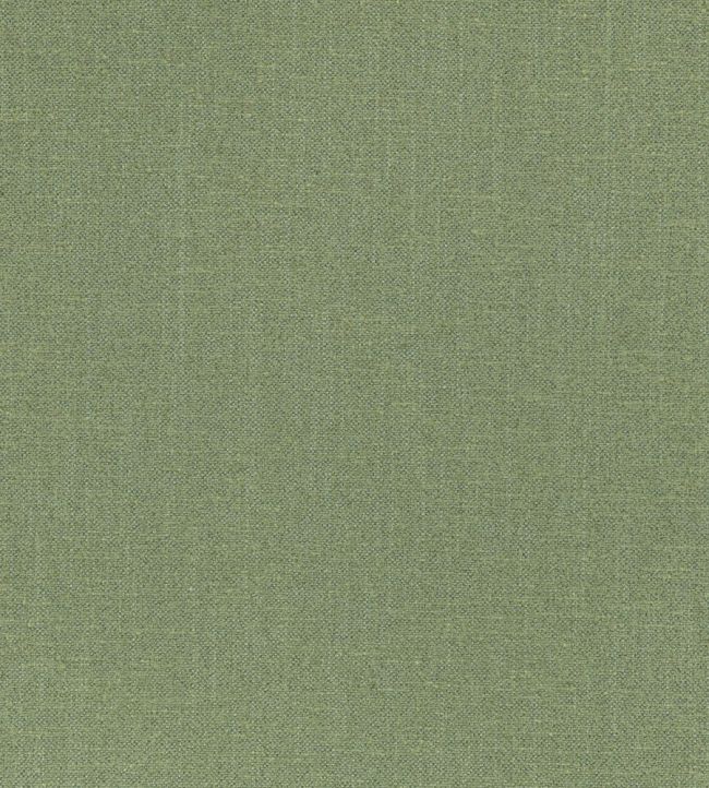 Kyri Fabric by Romo Fern