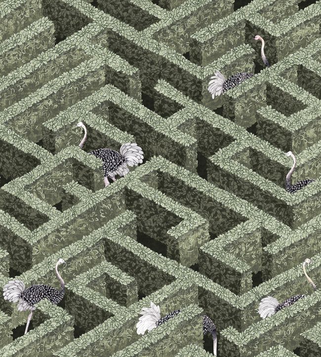 Labyrinth With Ostriches Wallpaper by Josephine Munsey Eucalyptus