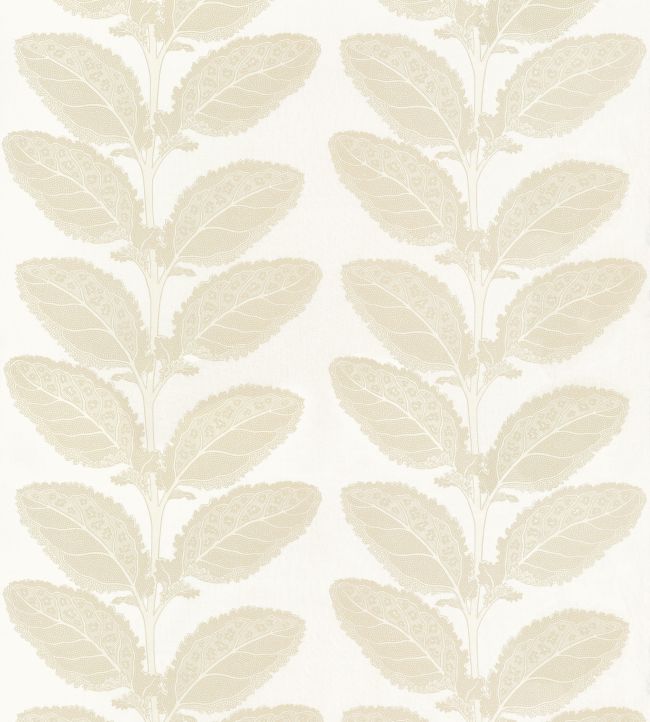 Lacinato Fabric by Thibaut Birch