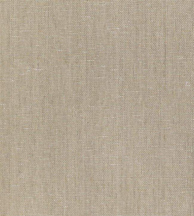 Lake Shore Wallpaper by Thibaut Brown