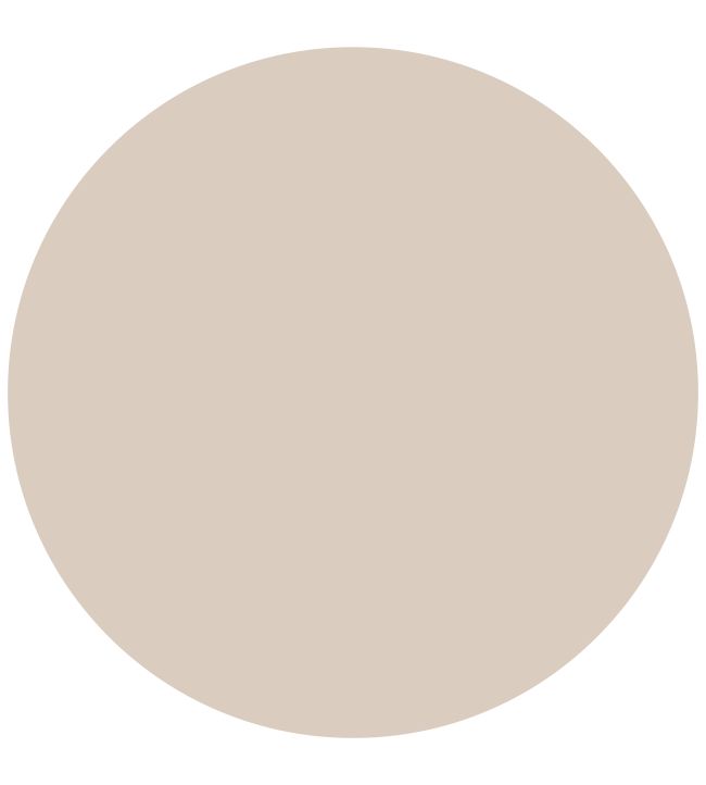 Latte True Matt Emulsion Paint by Zoffany Latte