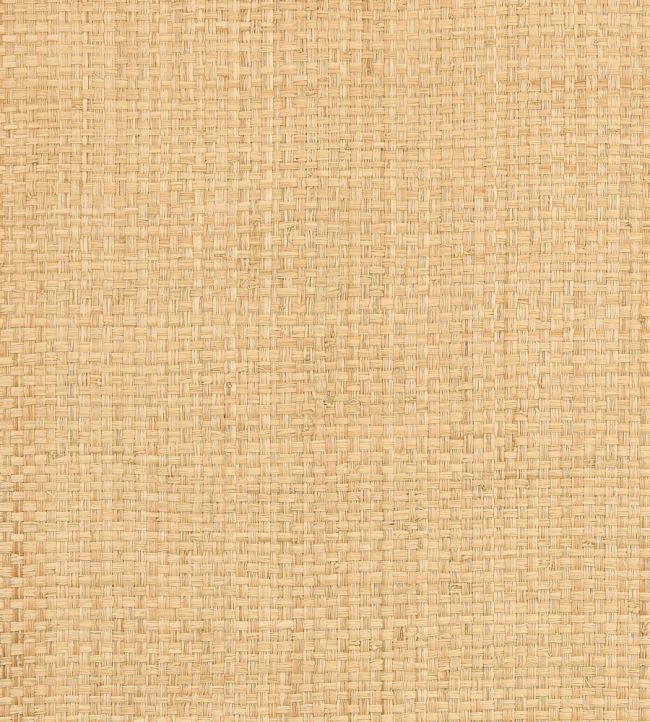 Lauderdale Wallpaper by Thibaut Natural