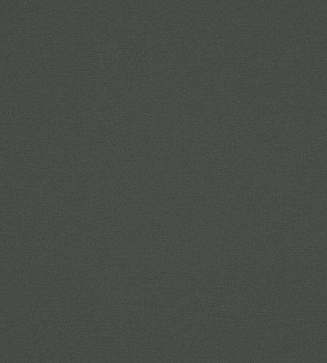 Laundered-Linen Fabric by Warwick Charcoal
