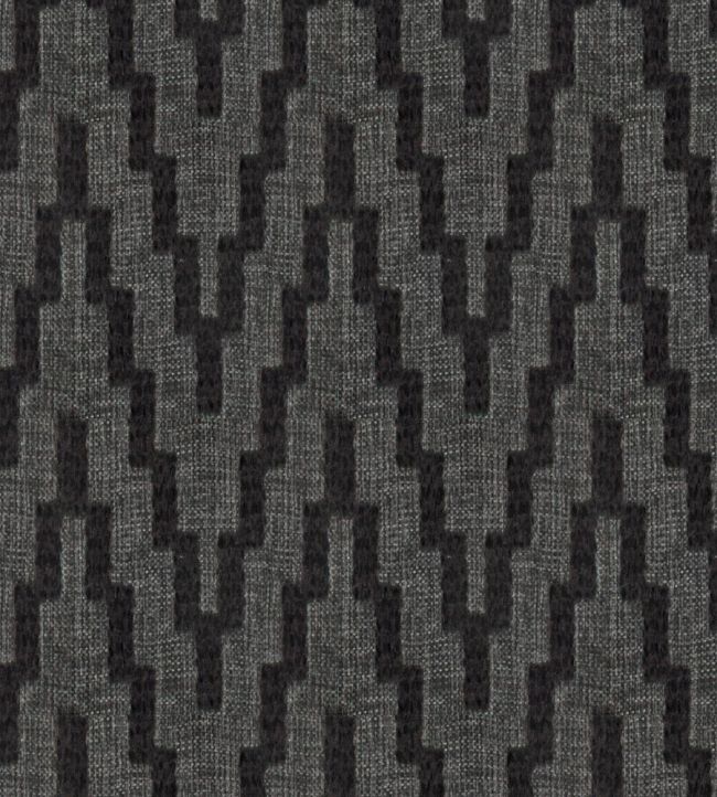 Laurieston Fabric by Wemyss Carbon