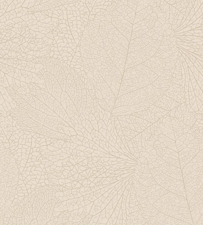 Leaf Vein Wallpaper by Eijffinger White/Cream