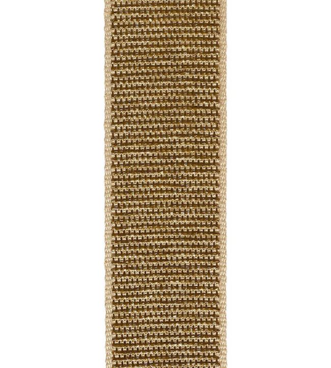 Leandro Raffia Braid 60mm Trimming by Houles 9100