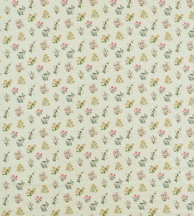Leiden Fabric by Clarke & Clarke Blush/Sage