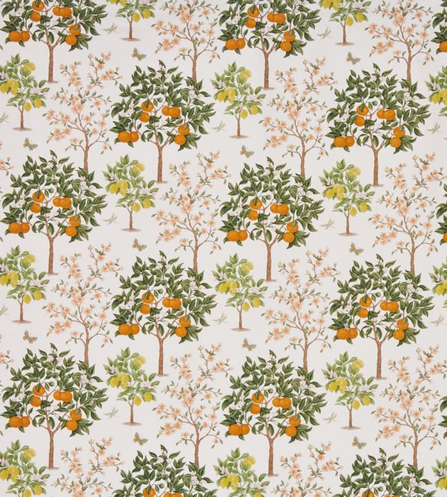 Lemon Grove Fabric by Prestigious Textiles Pear