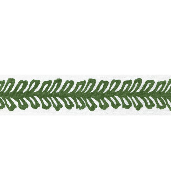Lenox Tape Trimming by Thibaut Kelly