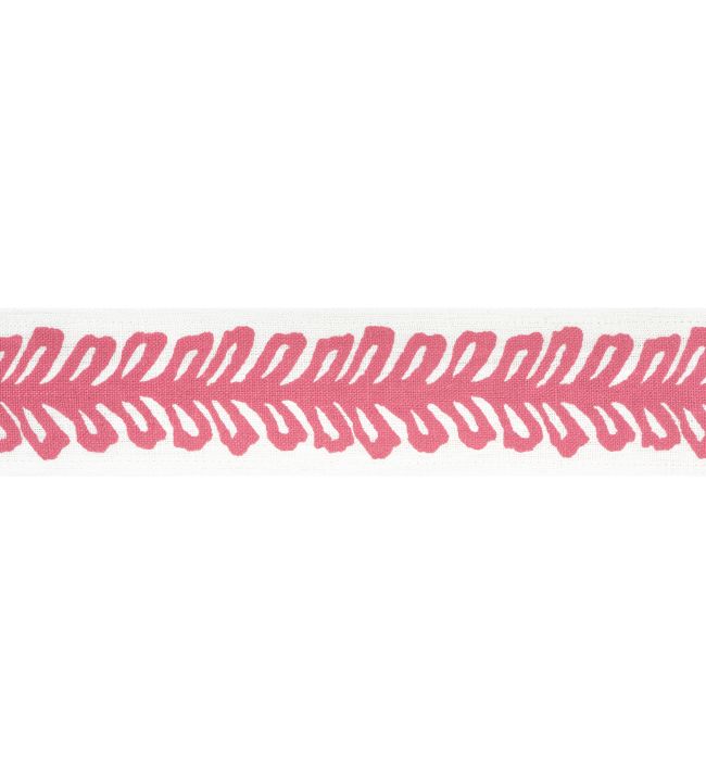 Lenox Tape Trimming by Thibaut Peony