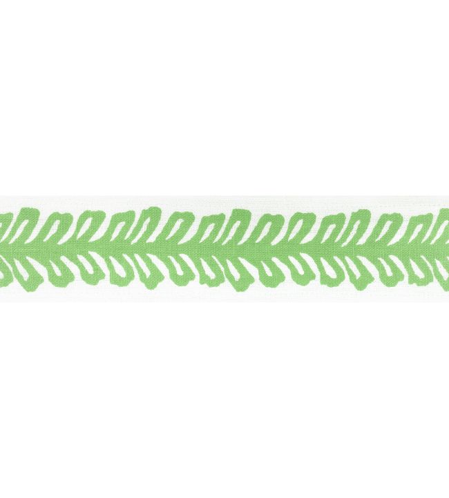 Lenox Tape Trimming by Thibaut Spring