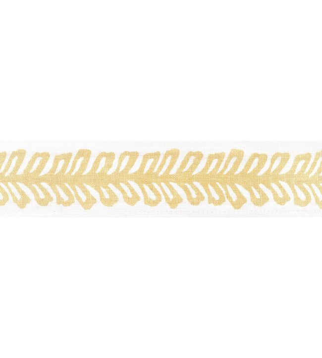 Lenox Tape Trimming by Thibaut Sunshine