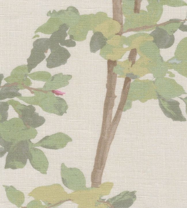 Beech Linen Fabric by Lewis & Wood Document Green
