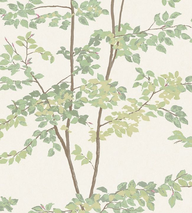 Beech Wallpaper by Lewis & Wood Document Green