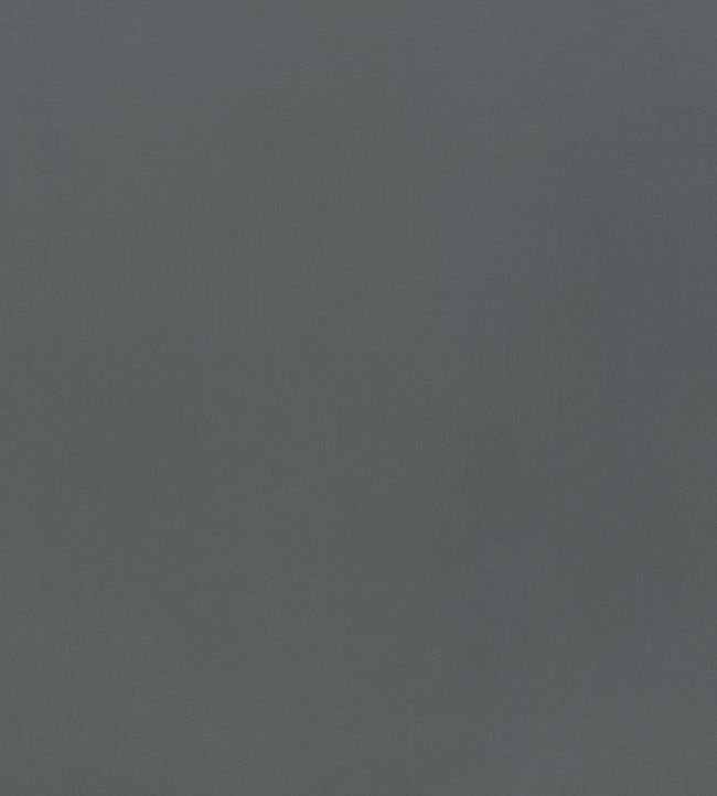 Lexington Fabric by Mark Alexander Carbon Grey