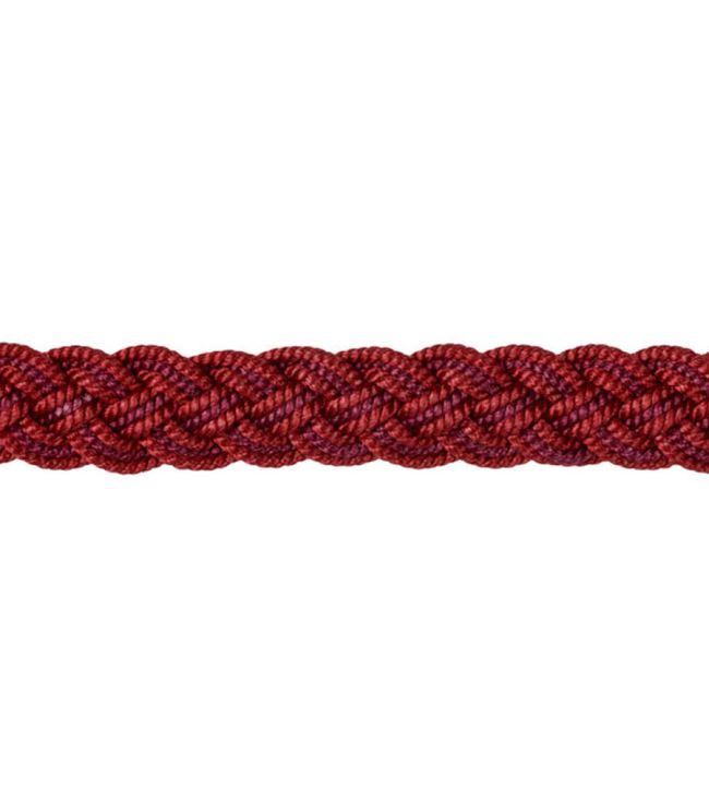 Lezardes Gimp 10mm Trimming by Houles Cerise