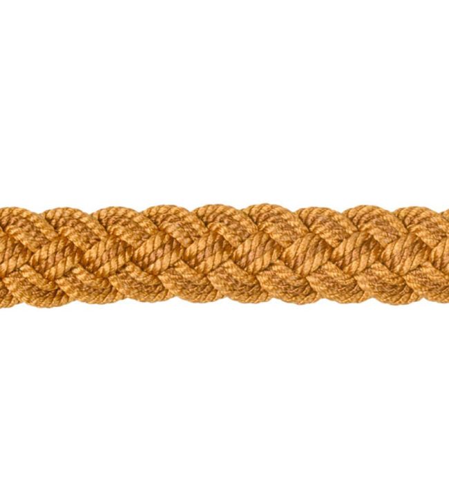 Lezardes Gimp 10mm Trimming by Houles Cognac