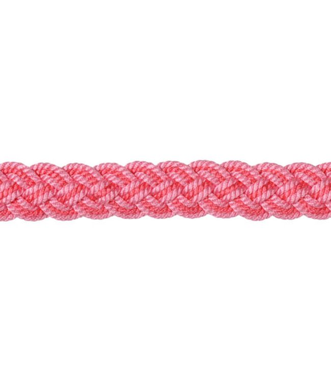 Lezardes Gimp 10mm Trimming by Houles Praline