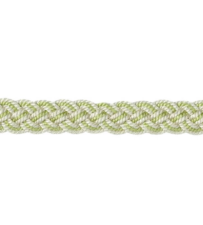 Lezardes Gimp 10mm Trimming by Houles Prarie