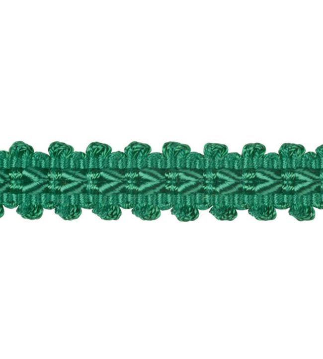 Lezardes Straight Gimp 11mm Trimming by Houles Emeraude