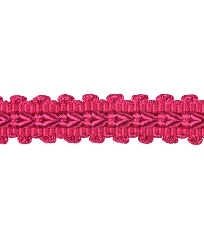 Lezardes Straight Gimp 11mm Trimming by Houles Fuschia