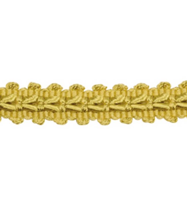 Lezardes Straight Gimp 11mm Trimming by Houles Jaune Safran
