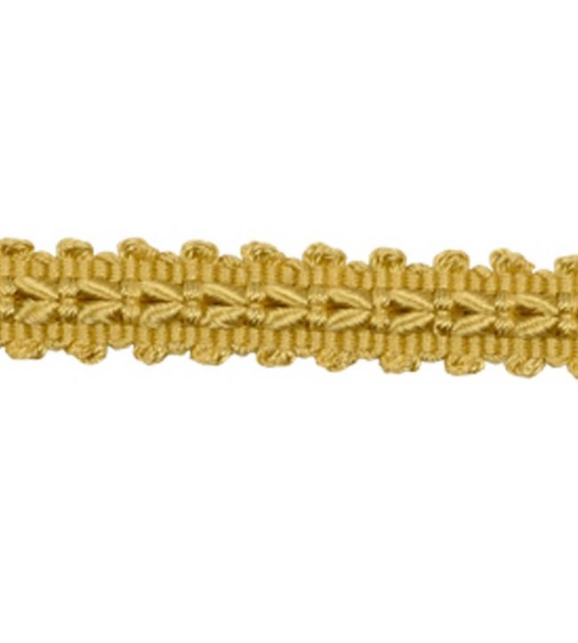 Lezardes Straight Gimp 11mm Trimming by Houles Mordore