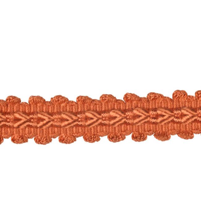 Lezardes Straight Gimp 11mm Trimming by Houles Orange