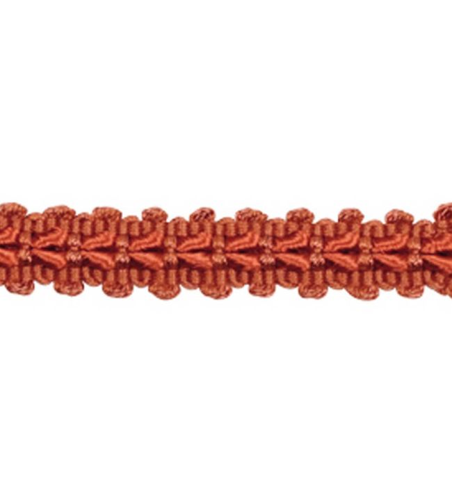 Lezardes Straight Gimp 11mm Trimming by Houles Terre de Sienne
