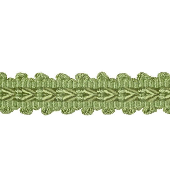 Lezardes Straight Gimp 11mm Trimming by Houles Vert d Orient
