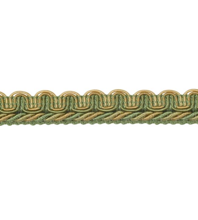Lezardes Thin Gimp 10mm Trimming by Houles Cactus