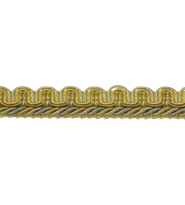 Lezardes Thin Gimp 10mm Trimming by Houles Herbier