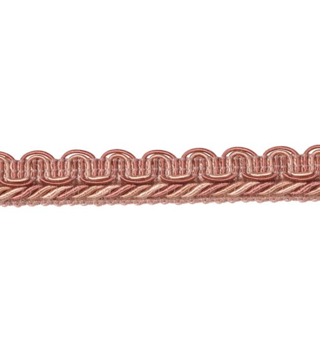 Lezardes Thin Gimp 10mm Trimming by Houles Rose Poudre