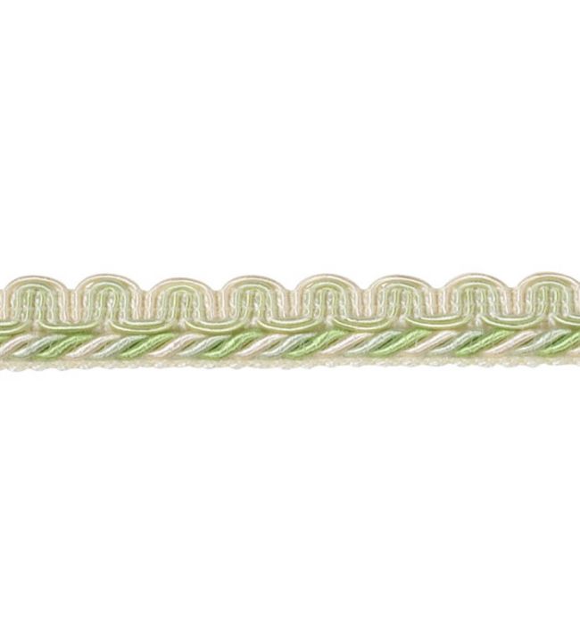 Lezardes Thin Gimp 10mm Trimming by Houles Verveine