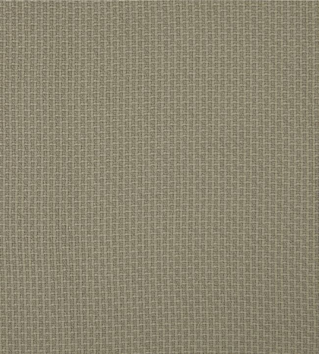 Lezna Fabric by Lizzo Mushroom