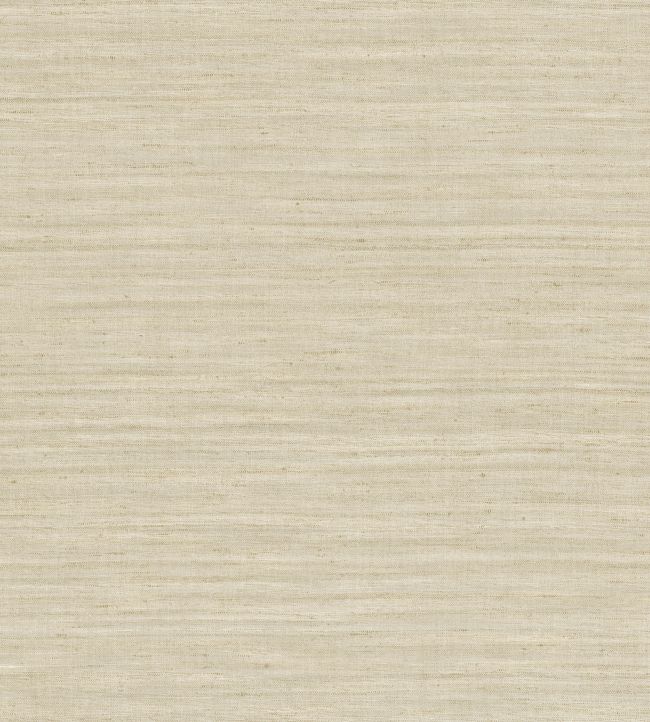 Lignes Wallpaper by Arte Champagne