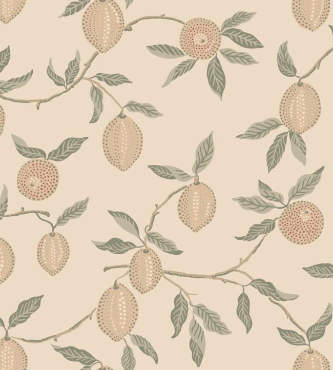 Limone Wallpaper by Sandberg Blush