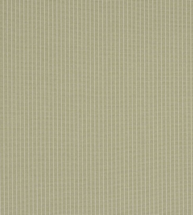 Linea Fabric by Manuel Canovas Mousse