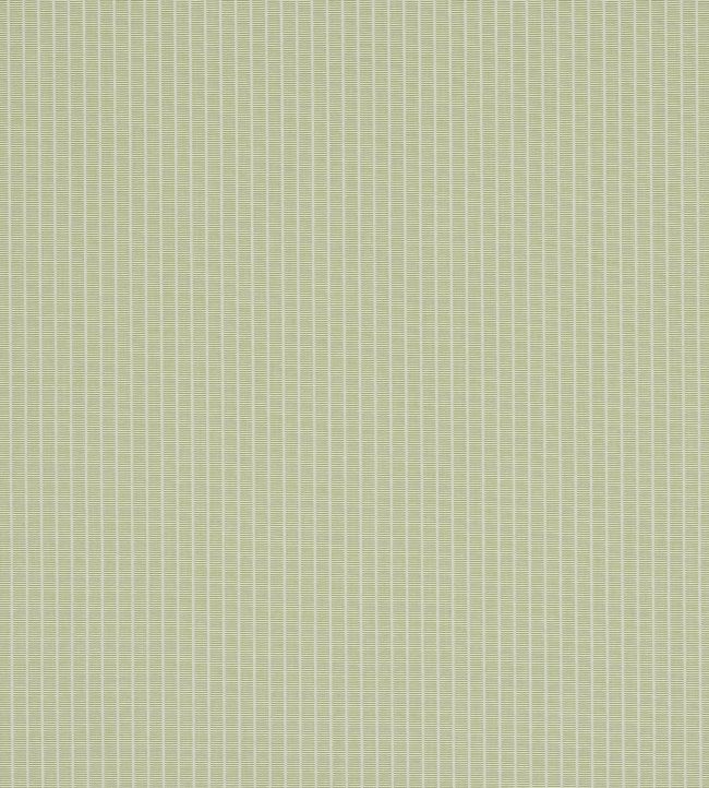 Linea Fabric by Manuel Canovas Pomme