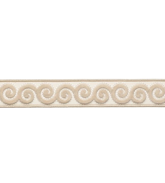 Linora Velvet Border Trimming by Samuel & Sons Marble