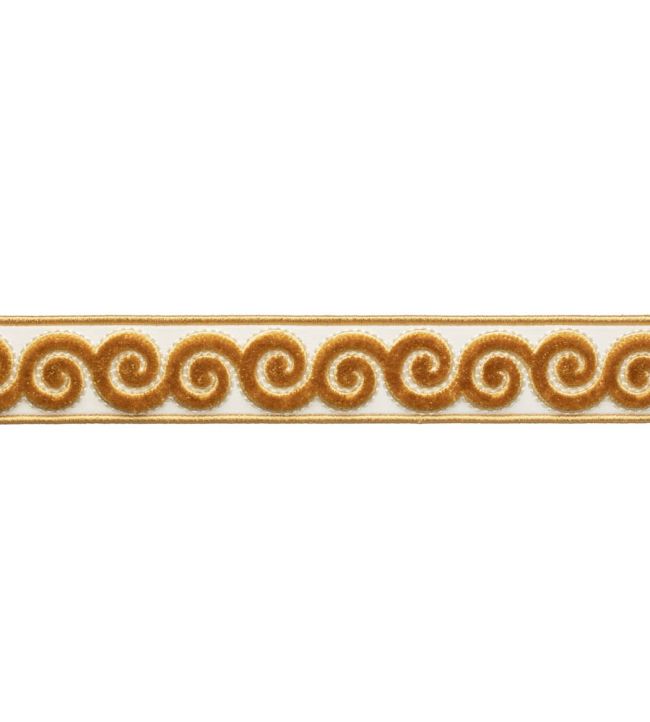 Linora Velvet Border Trimming by Samuel & Sons Medallion