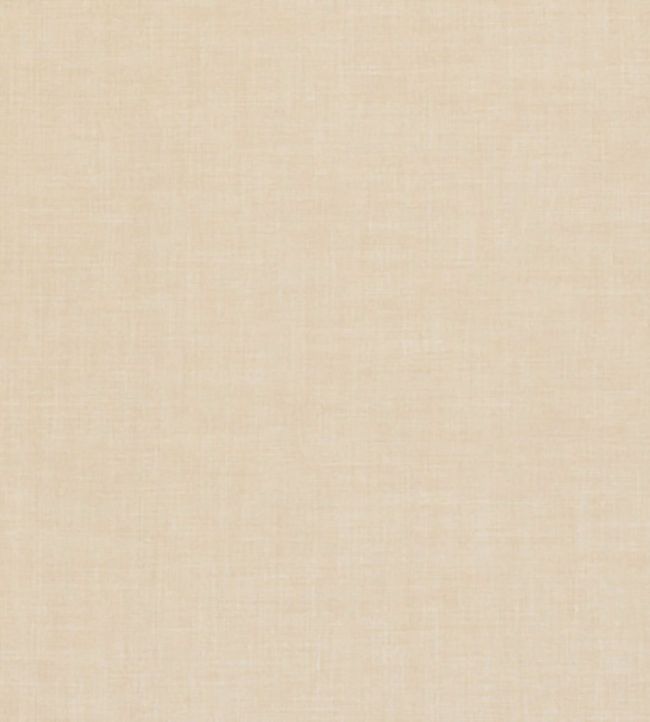 Linoso Wide Width Fabric by Clarke & Clarke Buff