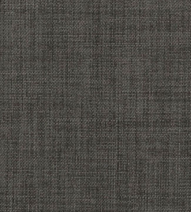 Linoso Wide Width Fabric by Clarke & Clarke Graphite