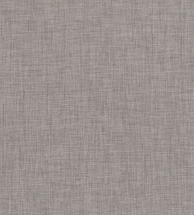 Linoso Wide Width Fabric by Clarke & Clarke Grey
