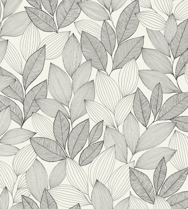 Little Botanica Wallpaper by Caselio Noir et blanc
