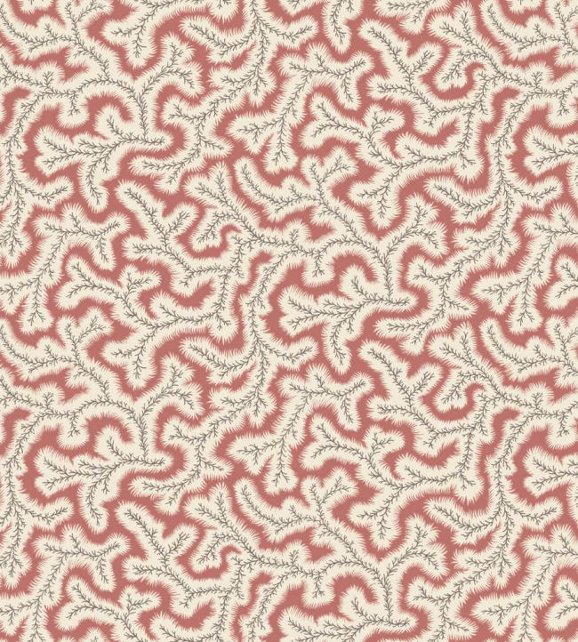 Little Dulcie Wallpaper by Ian Sanderson Coral